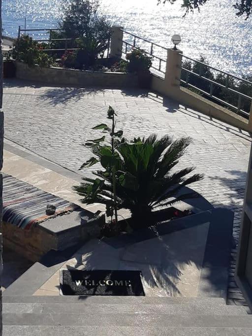 Panos Renos Studio, A Cozy Home By The Beach! Myrties المظهر الخارجي الصورة