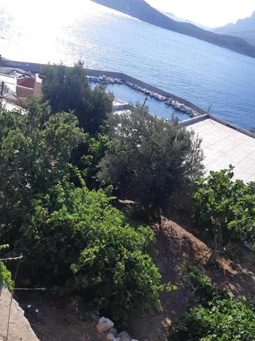Panos Renos Studio, A Cozy Home By The Beach! Myrties المظهر الخارجي الصورة